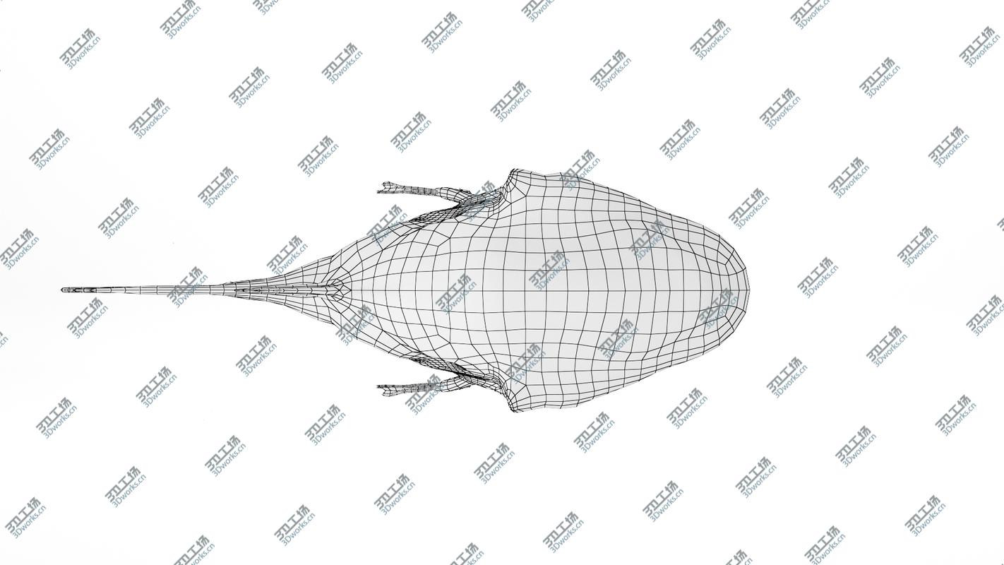 images/goods_img/20210313/Anglerfish 3D model/5.jpg